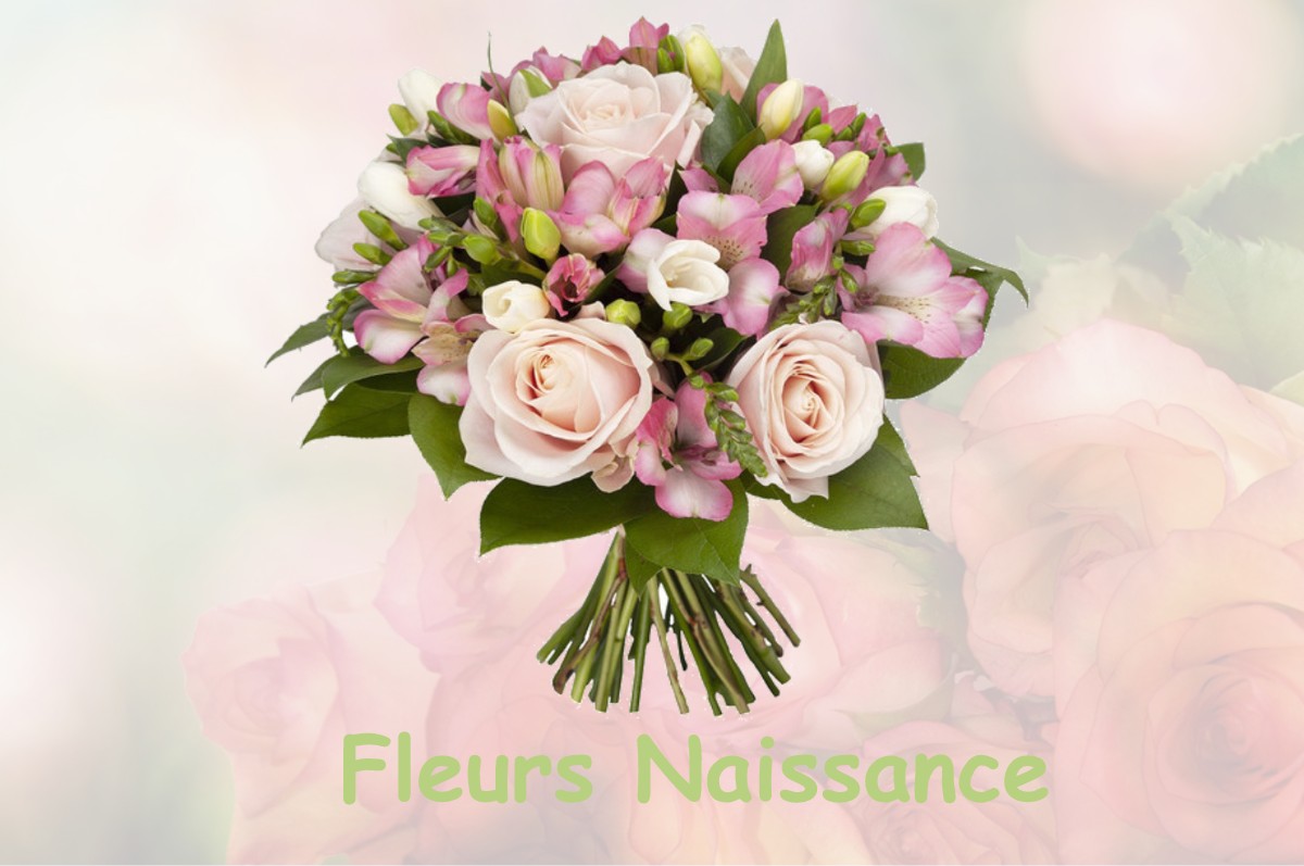 fleurs naissance SAINTE-MARIE-DU-LAC-NUISEMENT